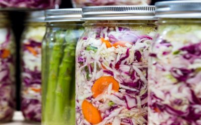 6 Fermentation Myths Busted