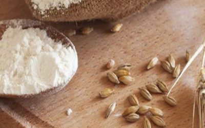 Whole Grains: Are They Still Good For You?