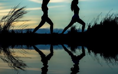 Inflammation And Your Immune System