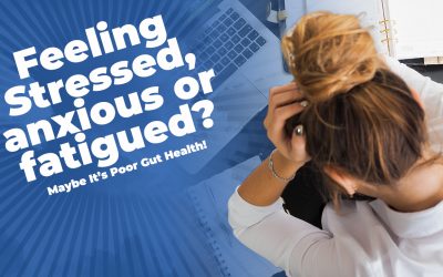 Feeling Stressed, anxious or fatigued? Maybe It’s Poor Gut Health!