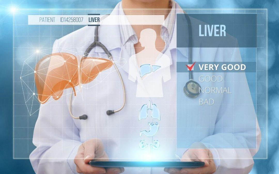 Liver Health: Why It’s Important and How to Protect It