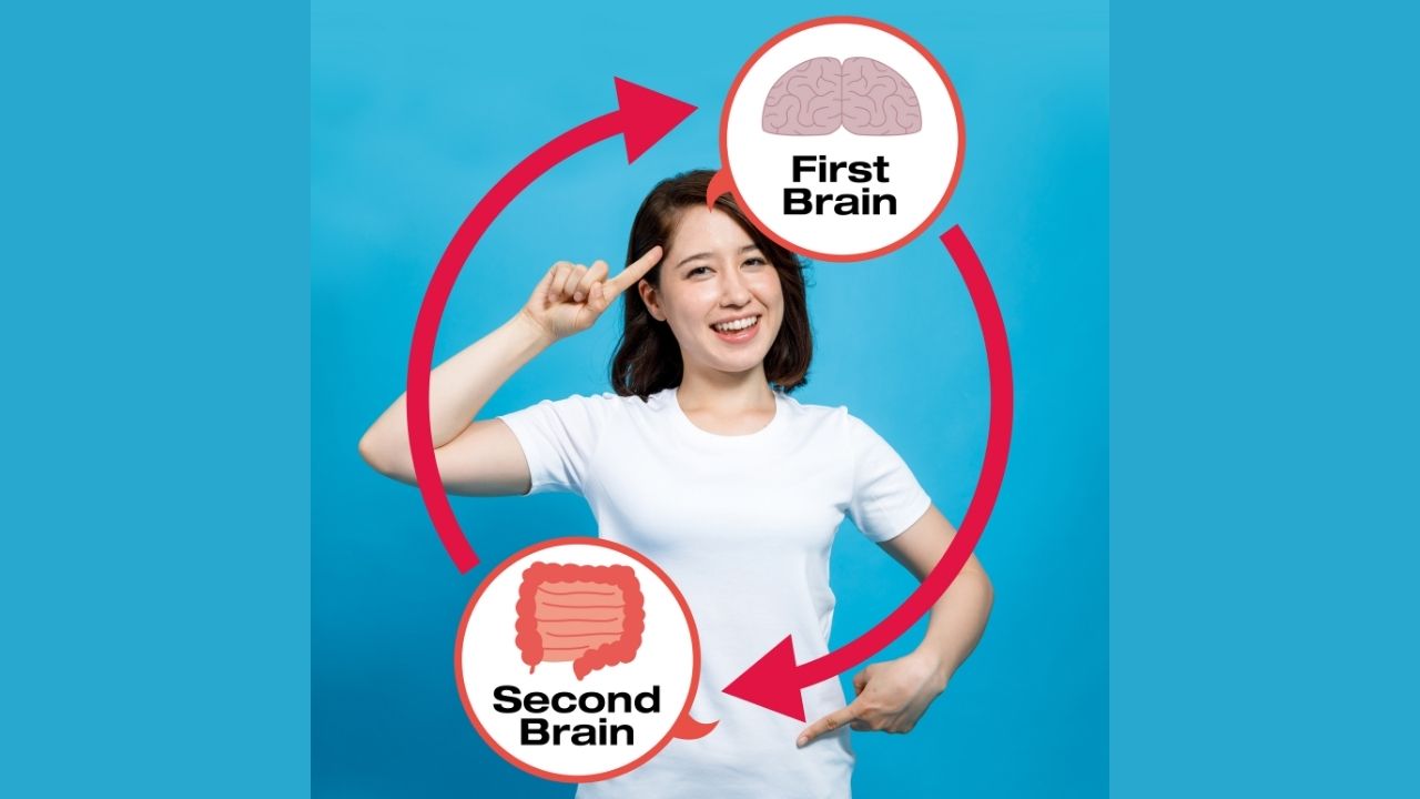 The GutBrain Axis and Its Impact on Your Mental Health The Center