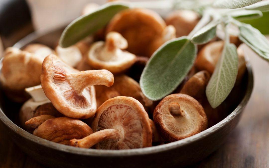 Mushrooms: The Underrated Superfood     