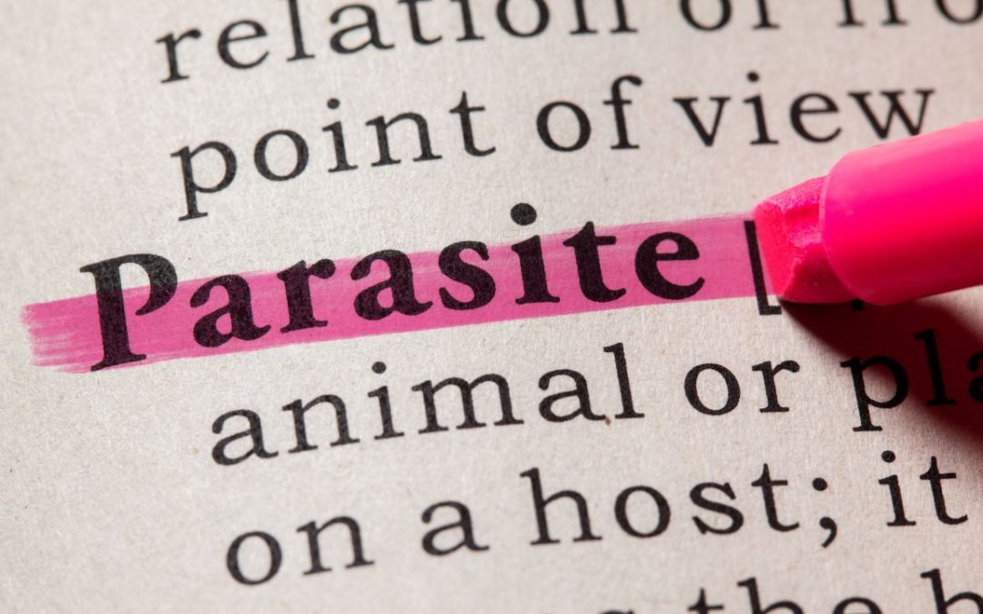 What You Need To Know About Parasites